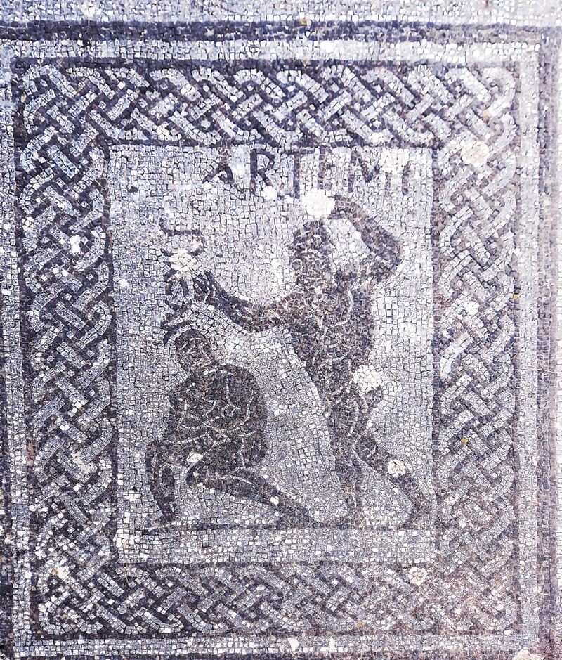 Il mosaico dei lottatori