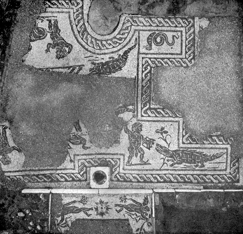 Panel 76 - Figure 3