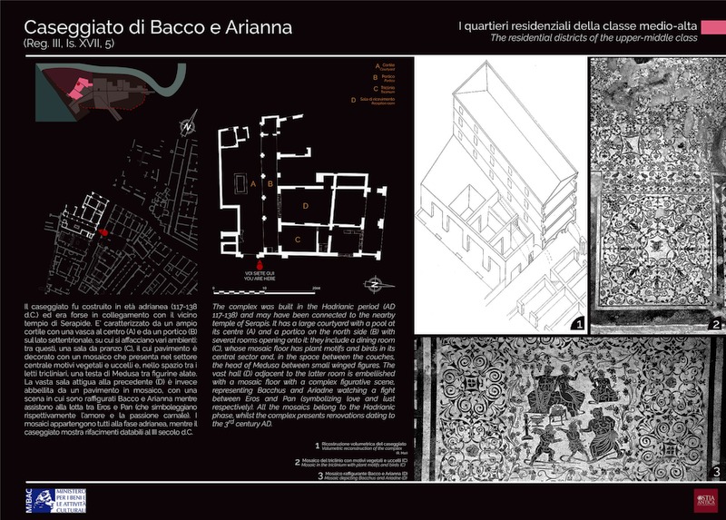 Panel 70 - Caseggiato di Bacco e Arianna