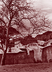 Panoramica