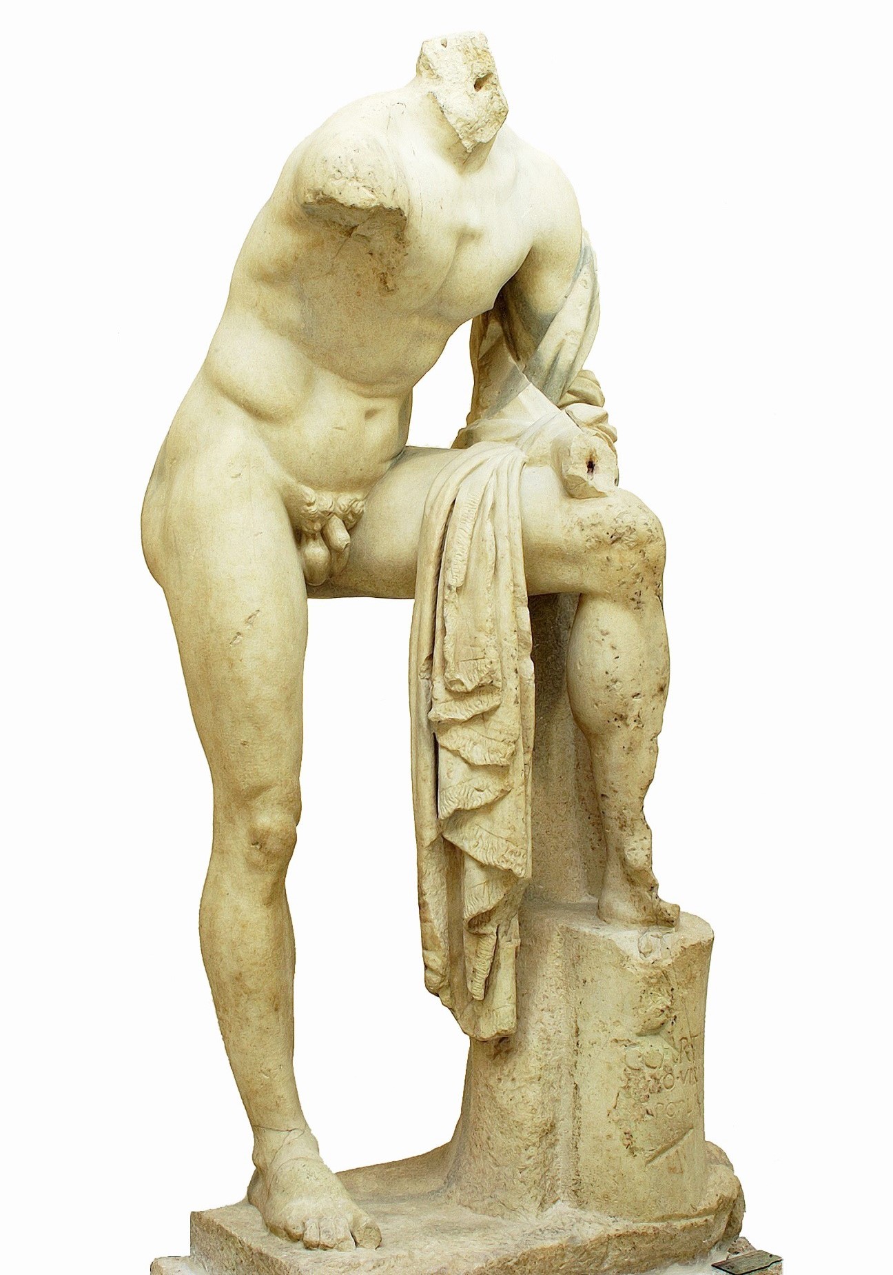 Cartilio Poplicola